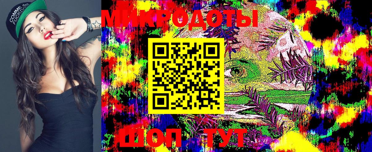Бошки Шишки Псков