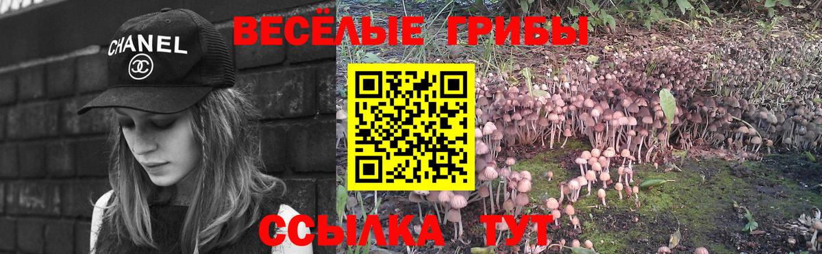 Псков  Галлюциногенные грибы GOLDEN TEACHER  Вход с VPN  Галлюциногенные грибы Psilocybe 