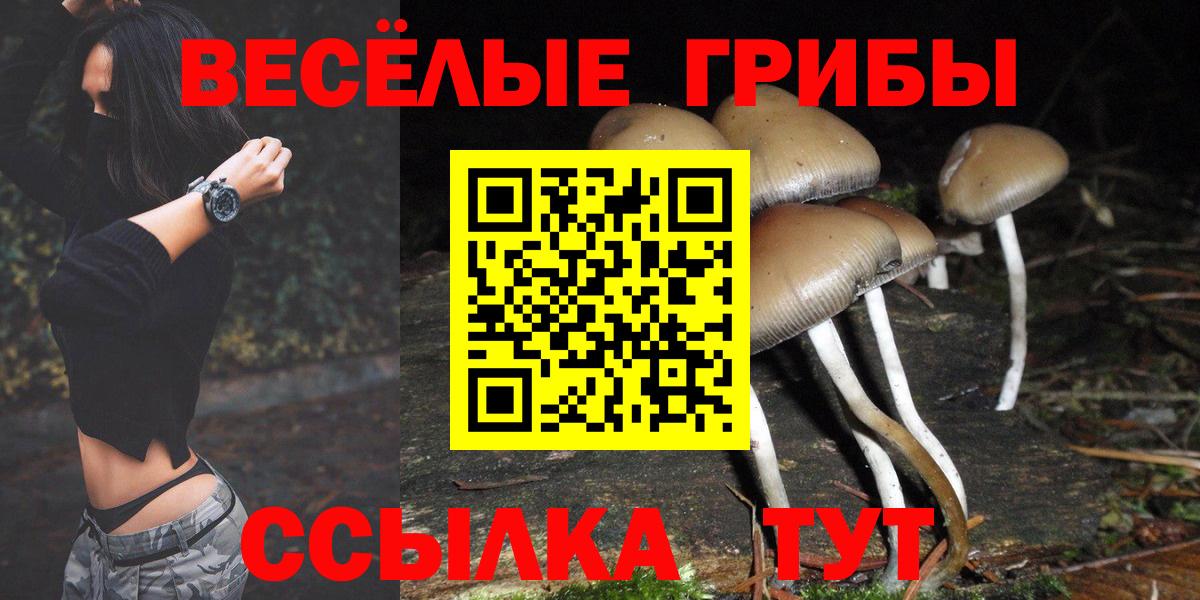 Галлюциногенные грибы мухоморы Псков